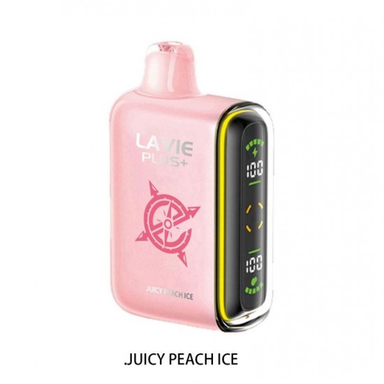 Lavie Plus 15000 Puffs Rechargeable Mesh Coil Disposable Vape